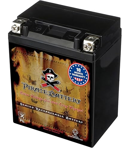 Amazon.com: Yuasa YUAM224B2 YB14-B2 Battery